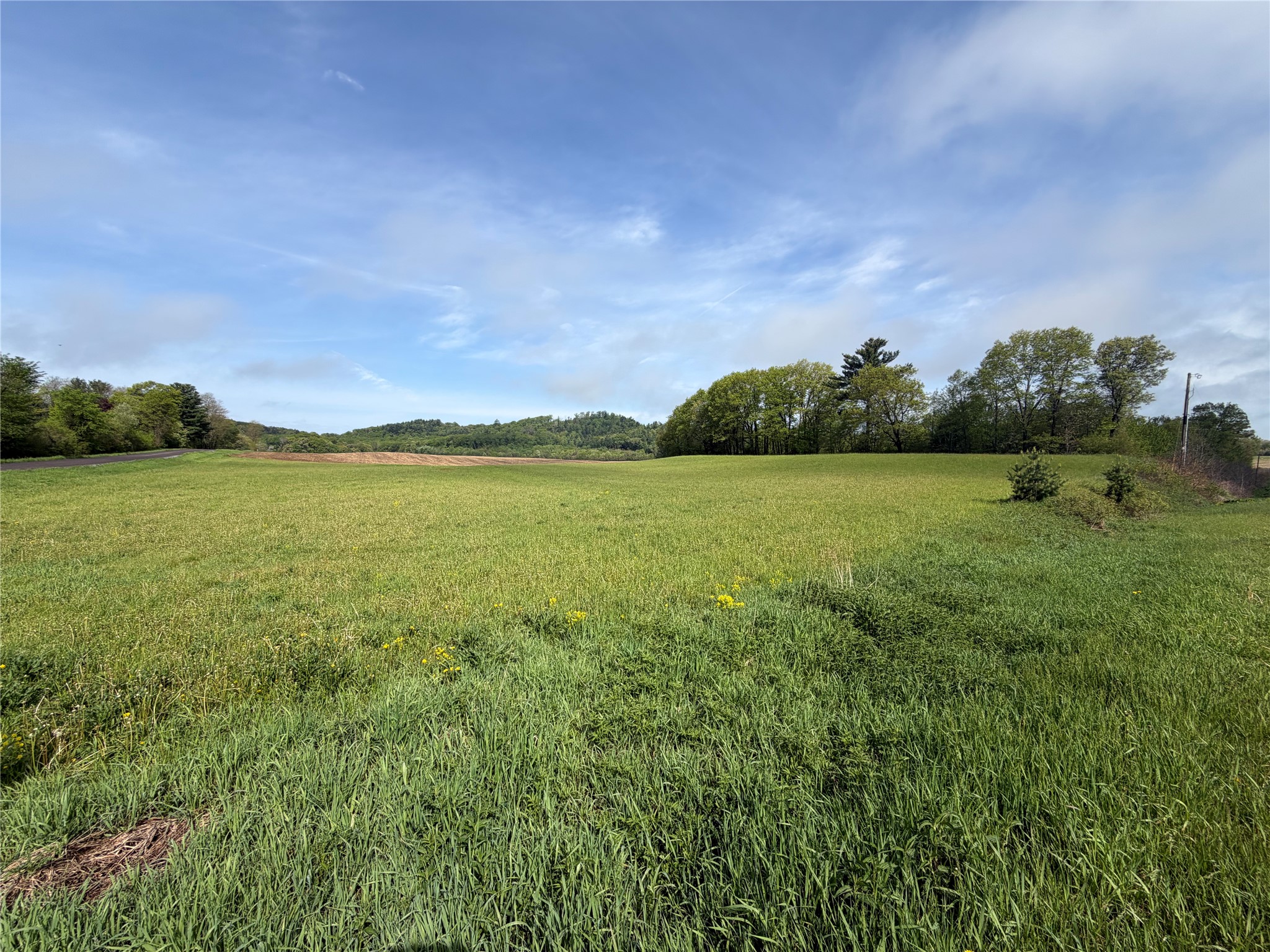 Lot 1 Carol Road Merrillan WI 54754 1601058 image1