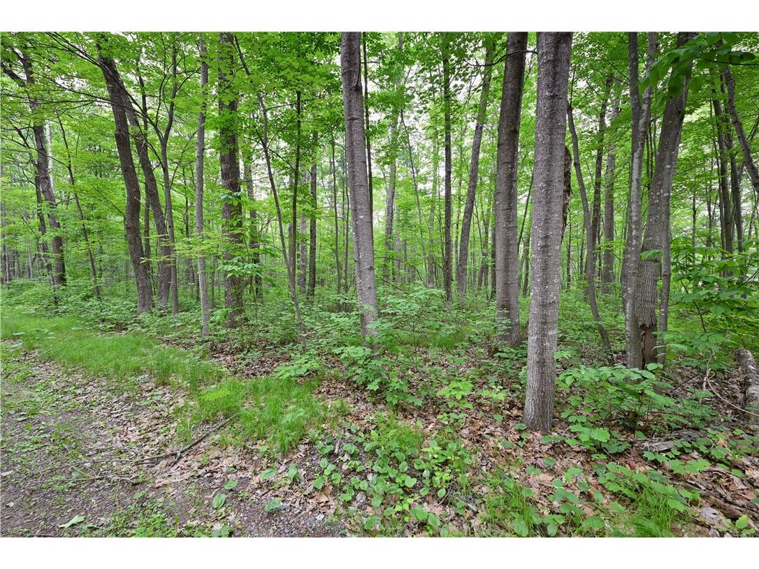 Lot 1 Chippewa Avenue Hayward WI 54843 1592709 image2