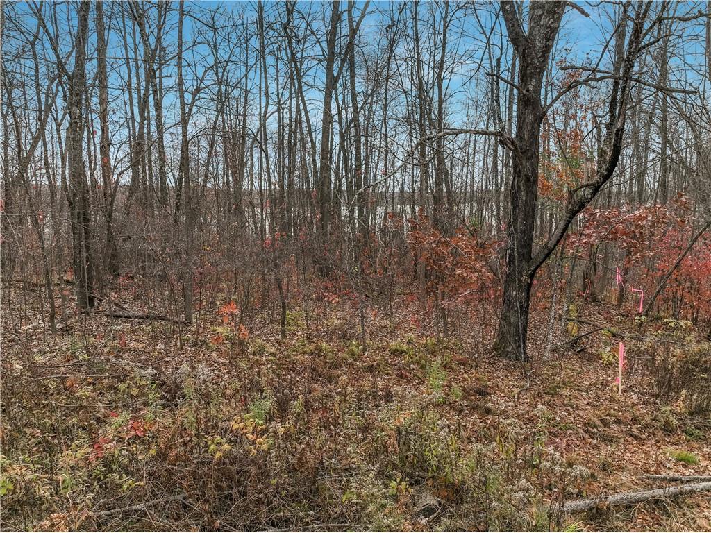 Lot 1 County Highway F Birchwood WI 54817 - Chetac 1596870 image3
