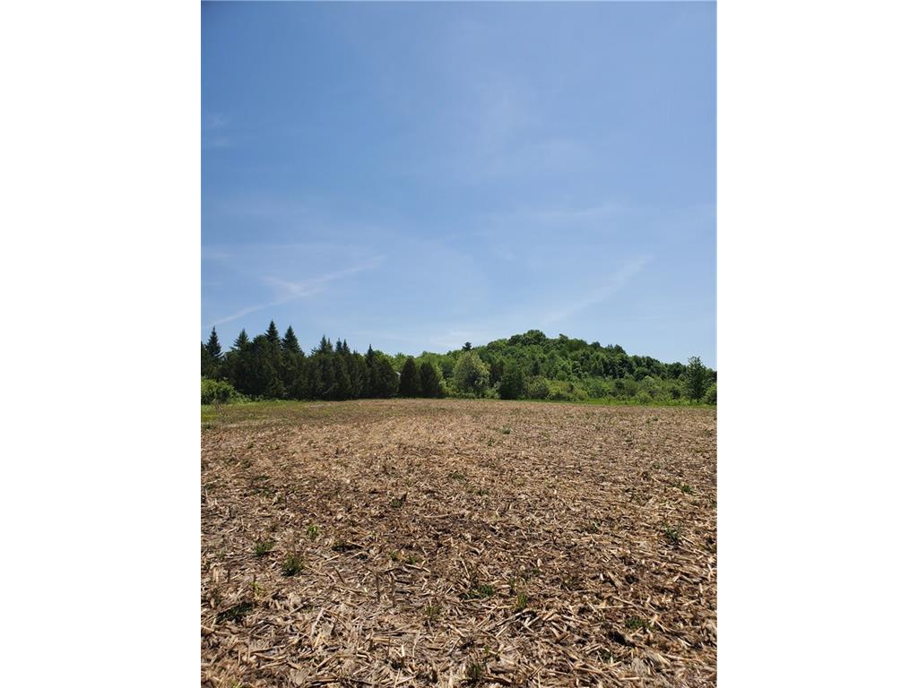 Lot 1 County Hwy OO, Chippewa Falls, WI, 54729 MLS 1573565 Edina