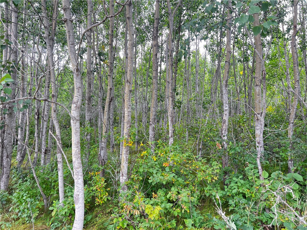 Lot 1 County Road T Minong WI 54838 1595498 image1