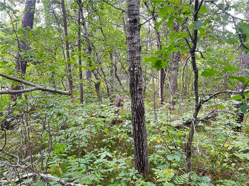Lot 1 County Road T Minong WI 54838 1595498 image10