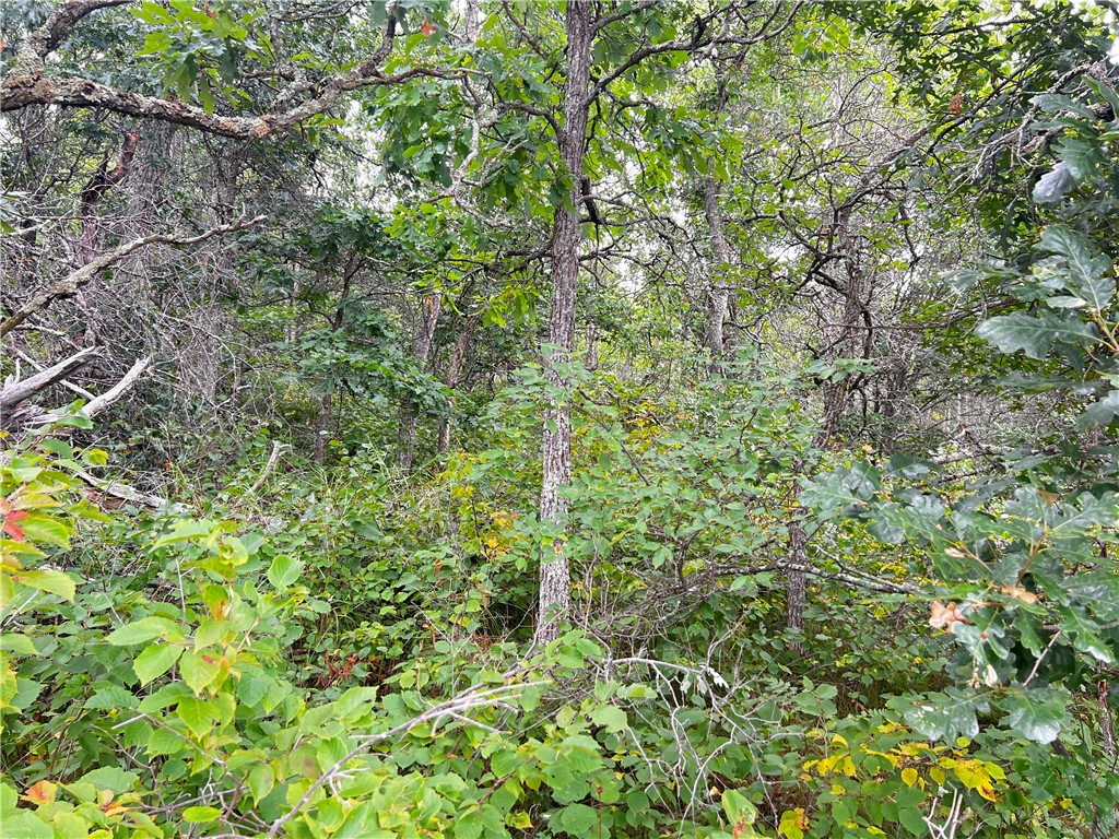 Lot 1 County Road T Minong WI 54838 1595498 image11