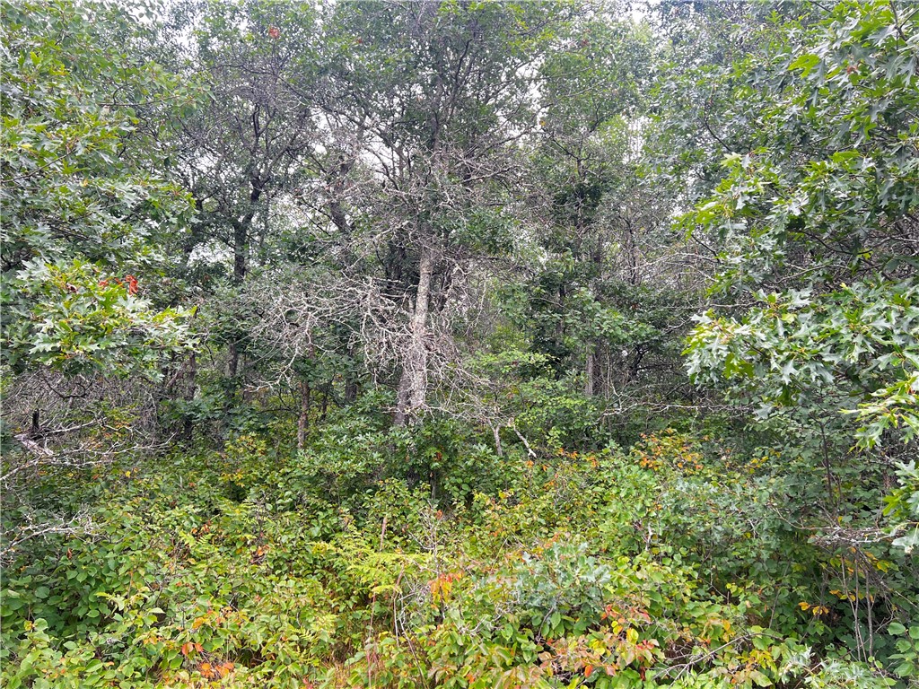 Lot 1 County Road T Minong WI 54838 1595498 image12
