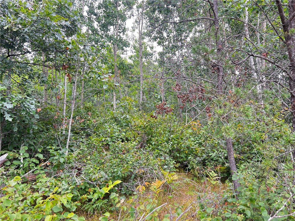 Lot 1 County Road T Minong WI 54838 1595498 image13
