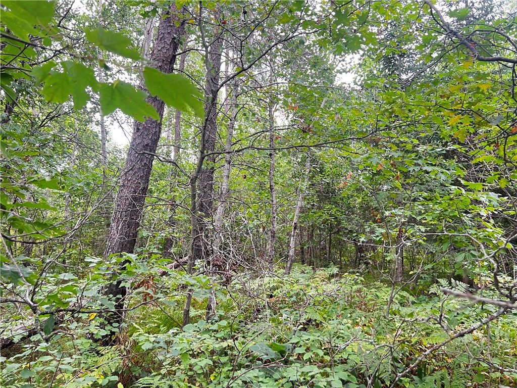 Lot 1 County Road T Minong WI 54838 1595498 image2