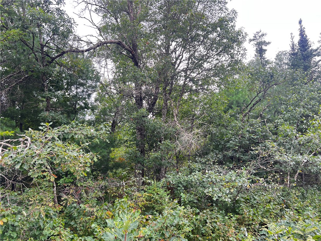 Lot 1 County Road T Minong WI 54838 1595498 image6