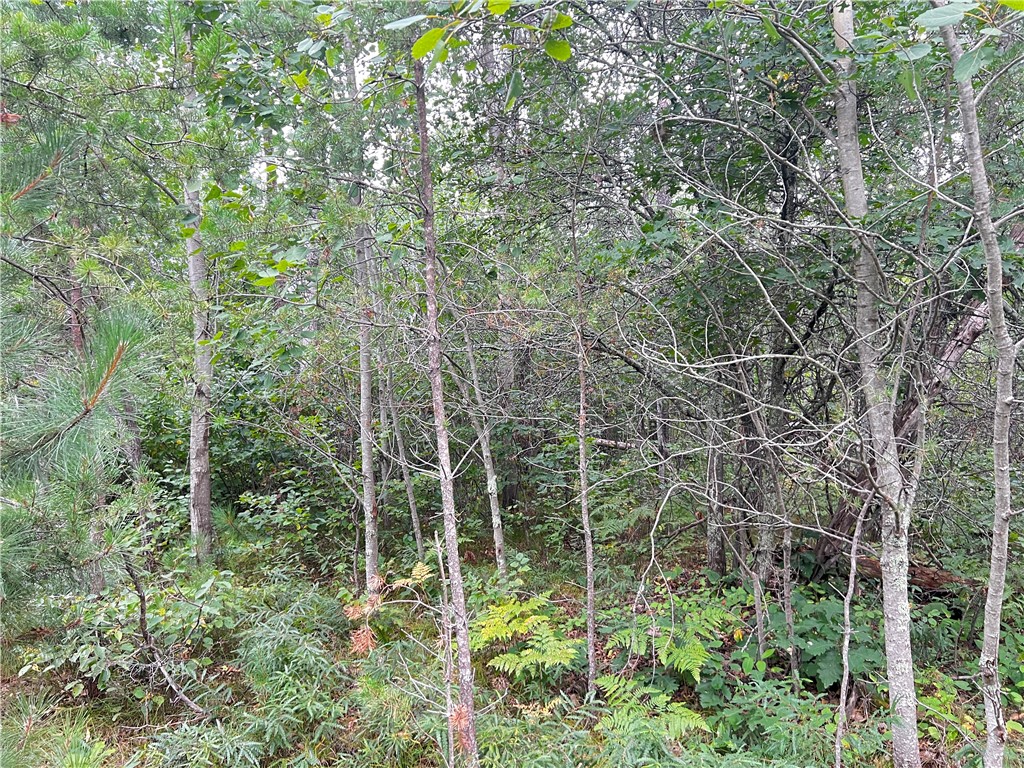 Lot 1 County Road T Minong WI 54838 1595498 image7
