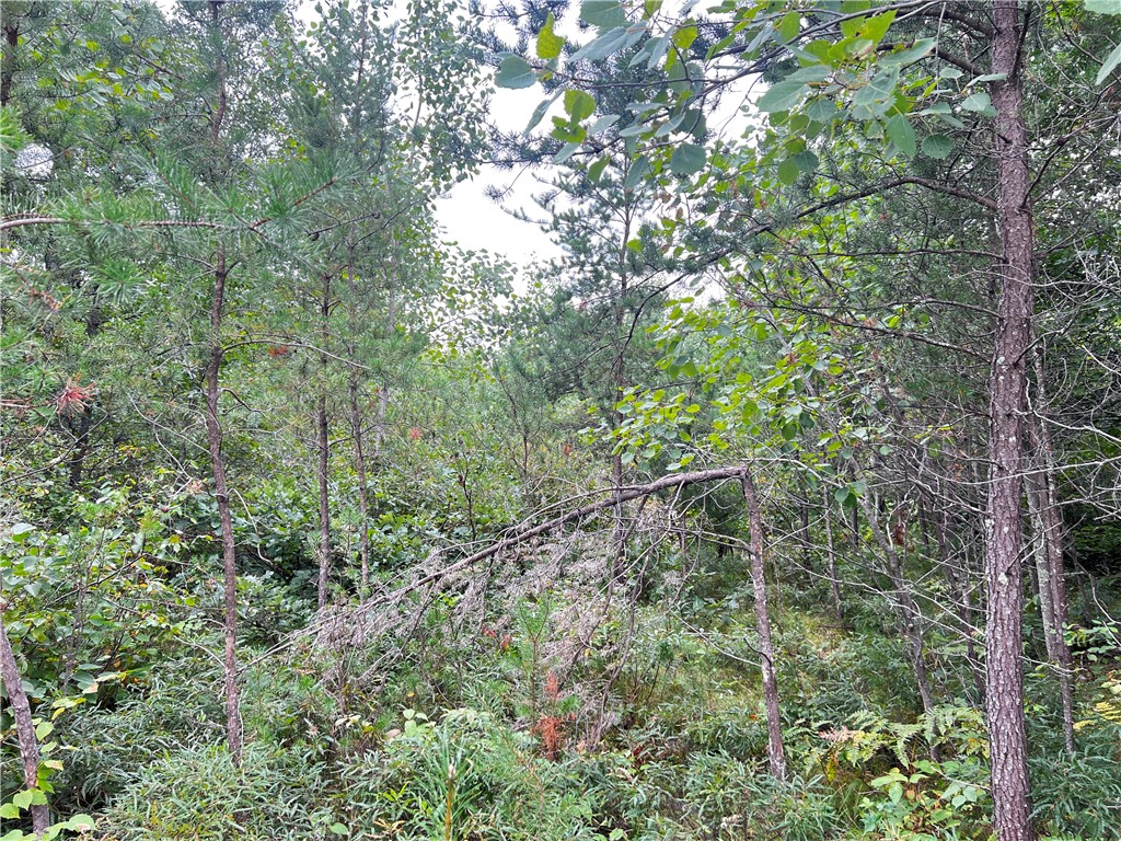 Lot 1 County Road T Minong WI 54838 1595498 image8