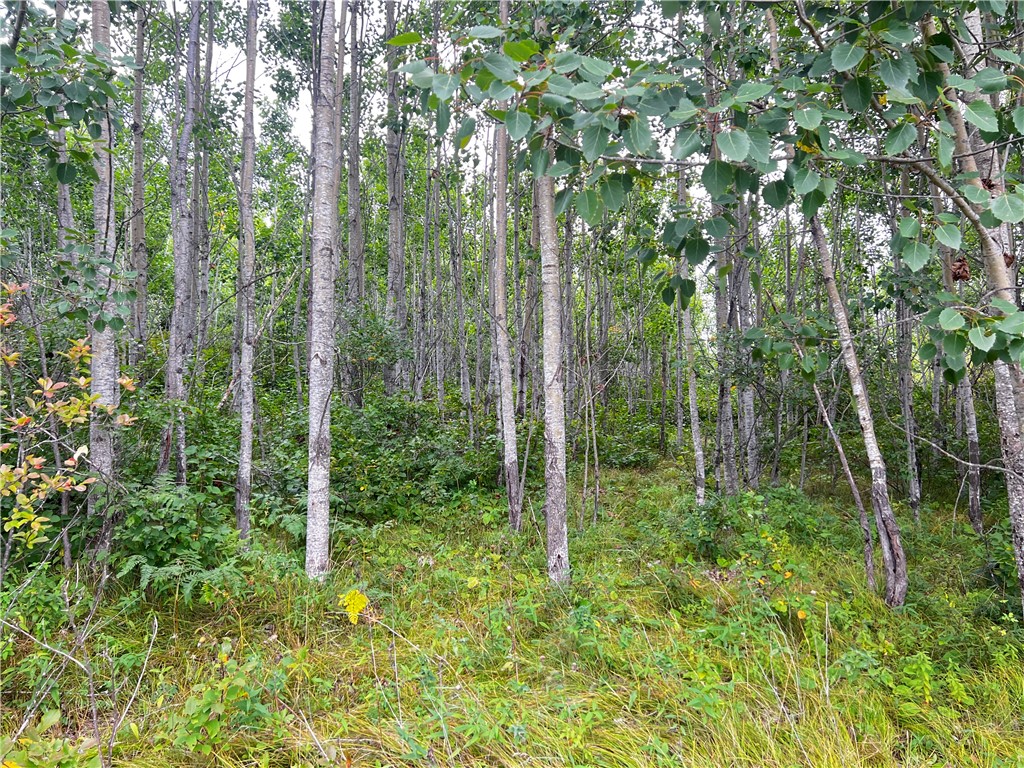 Lot 1 County Road T Minong WI 54838 1595498 image9