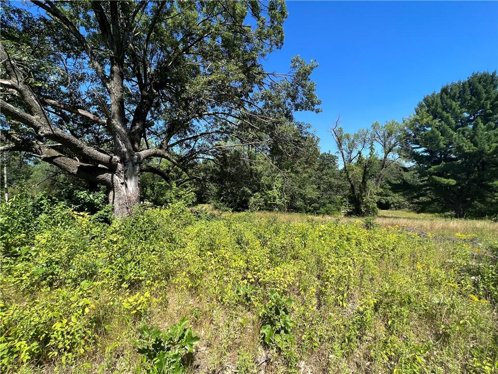 Lot 1 Curvue Road Eau Claire WI 54703 1567483 image1