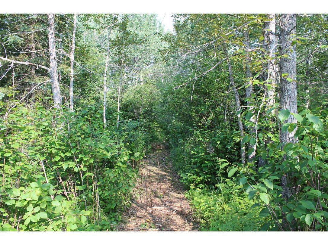 Lot 1 E Camp Amnicon Road Superior WI 54874 - Lake Superior 1589455 image10