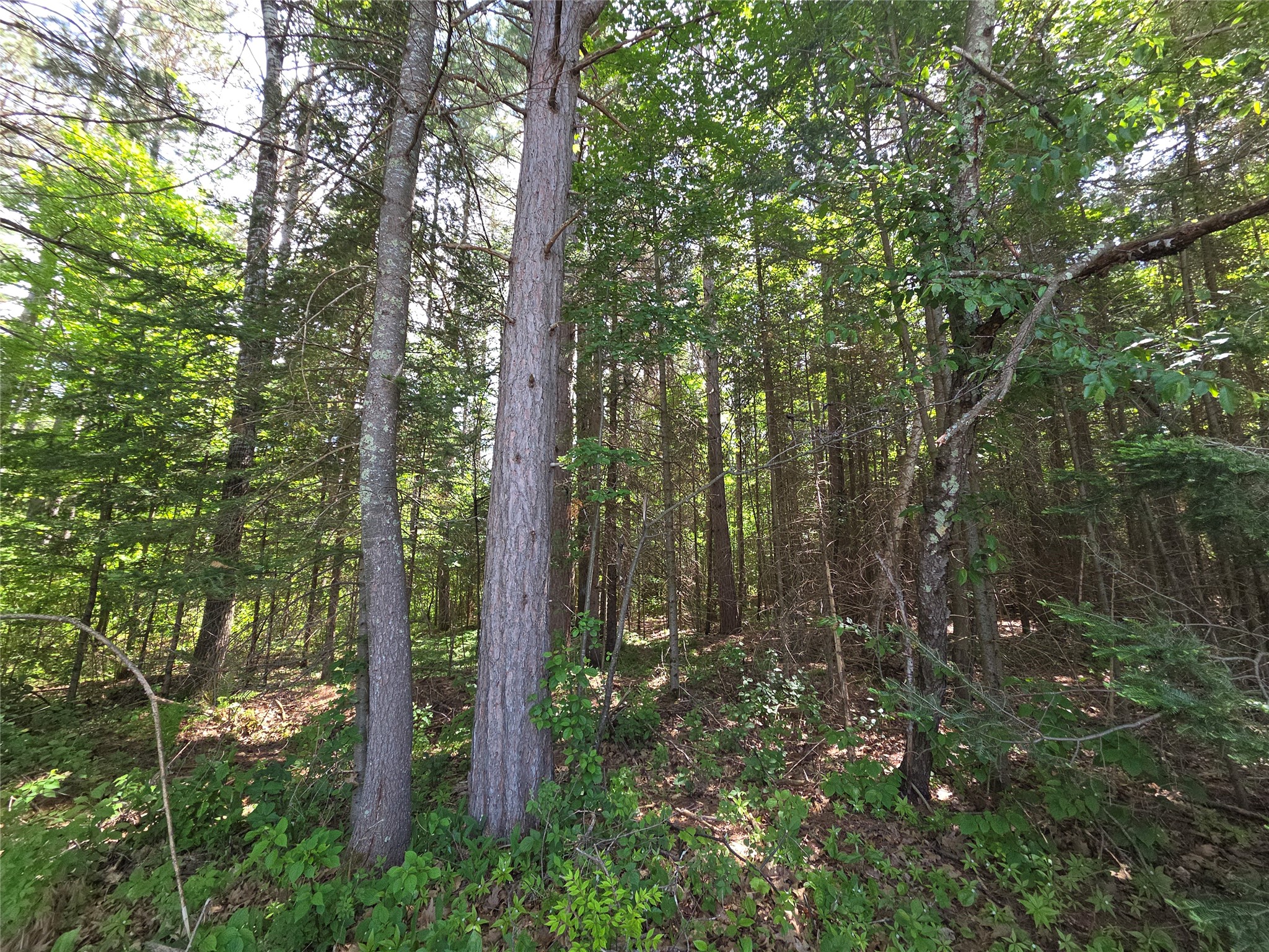 Lot 1 E Solberg Lake Road Phillips WI 54555 1601631 image1