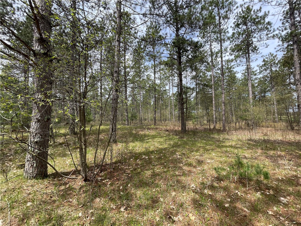 Lot 1 Elaine Drive Hayward WI 54843 1578875 image1