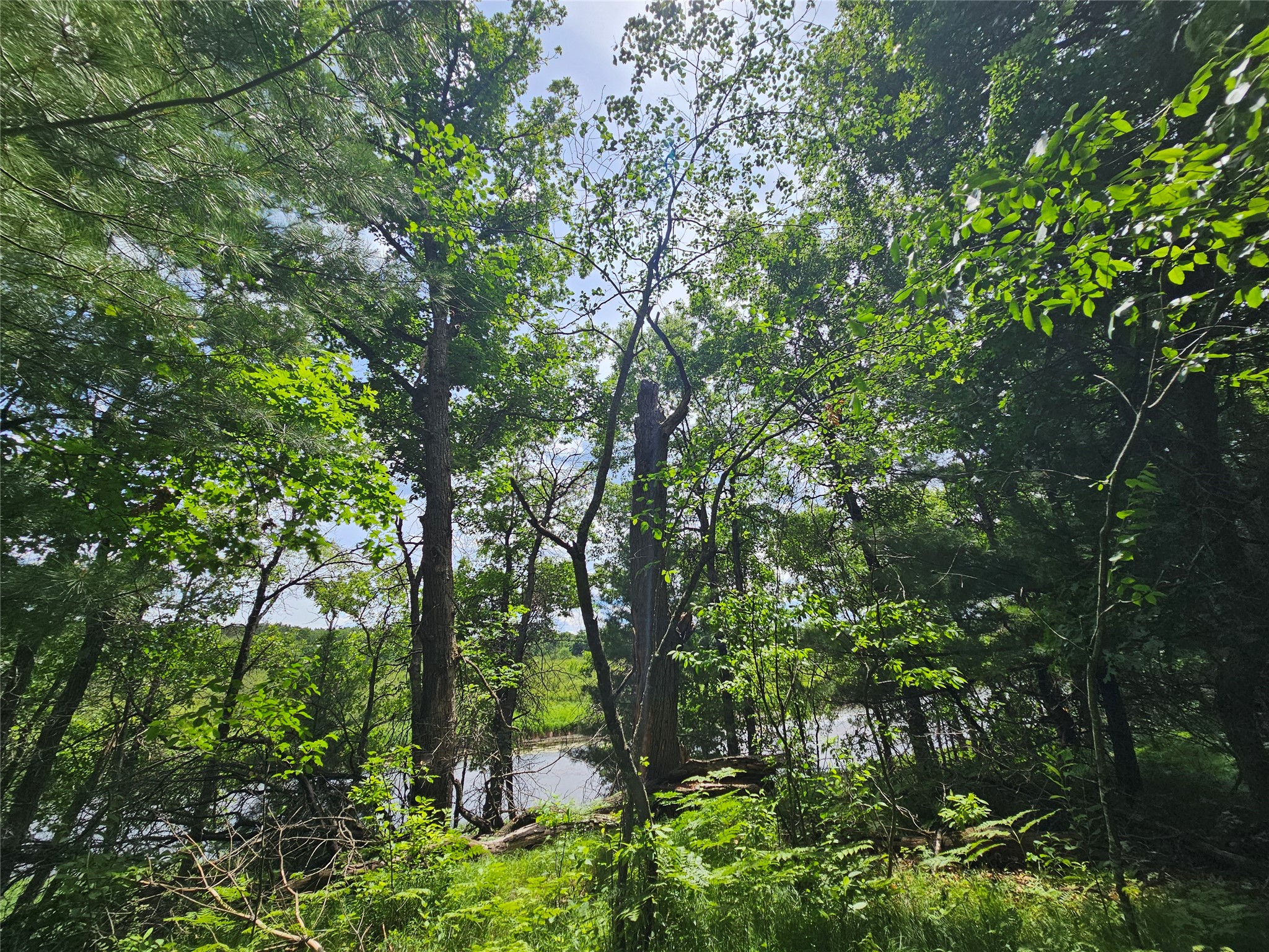 Lot 1 Gaslyn Road Webster WI 54893 - Yellow River 1602440 image1