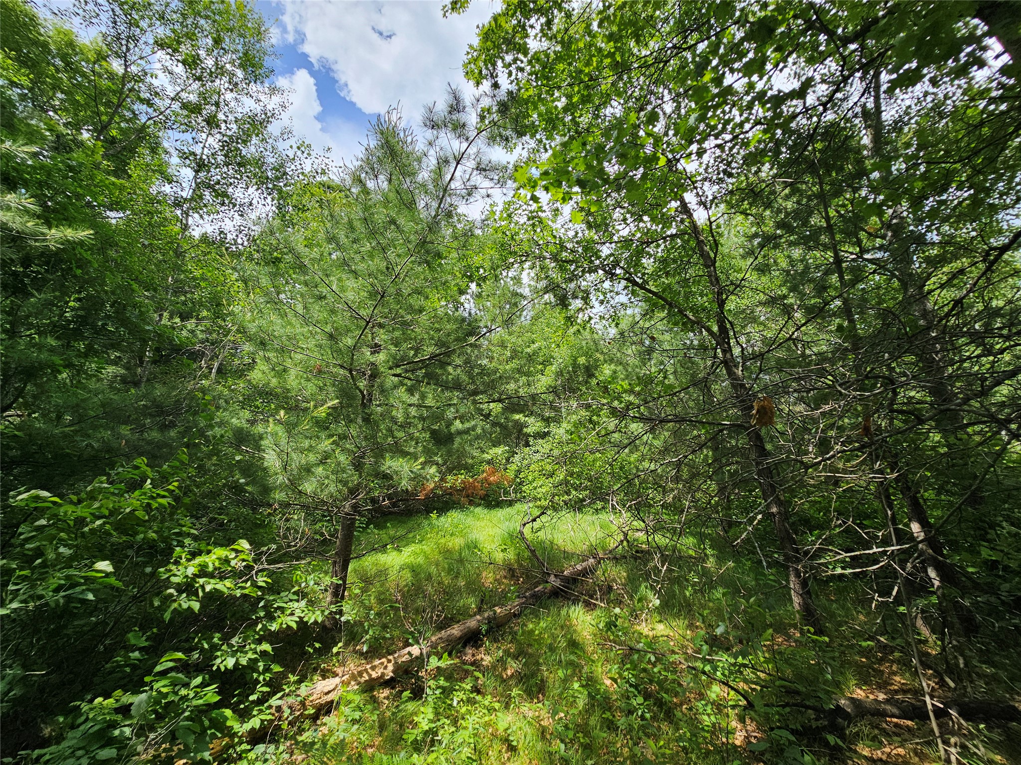 Lot 1 Gaslyn Road Webster WI 54893 - Yellow River 1602440 image5