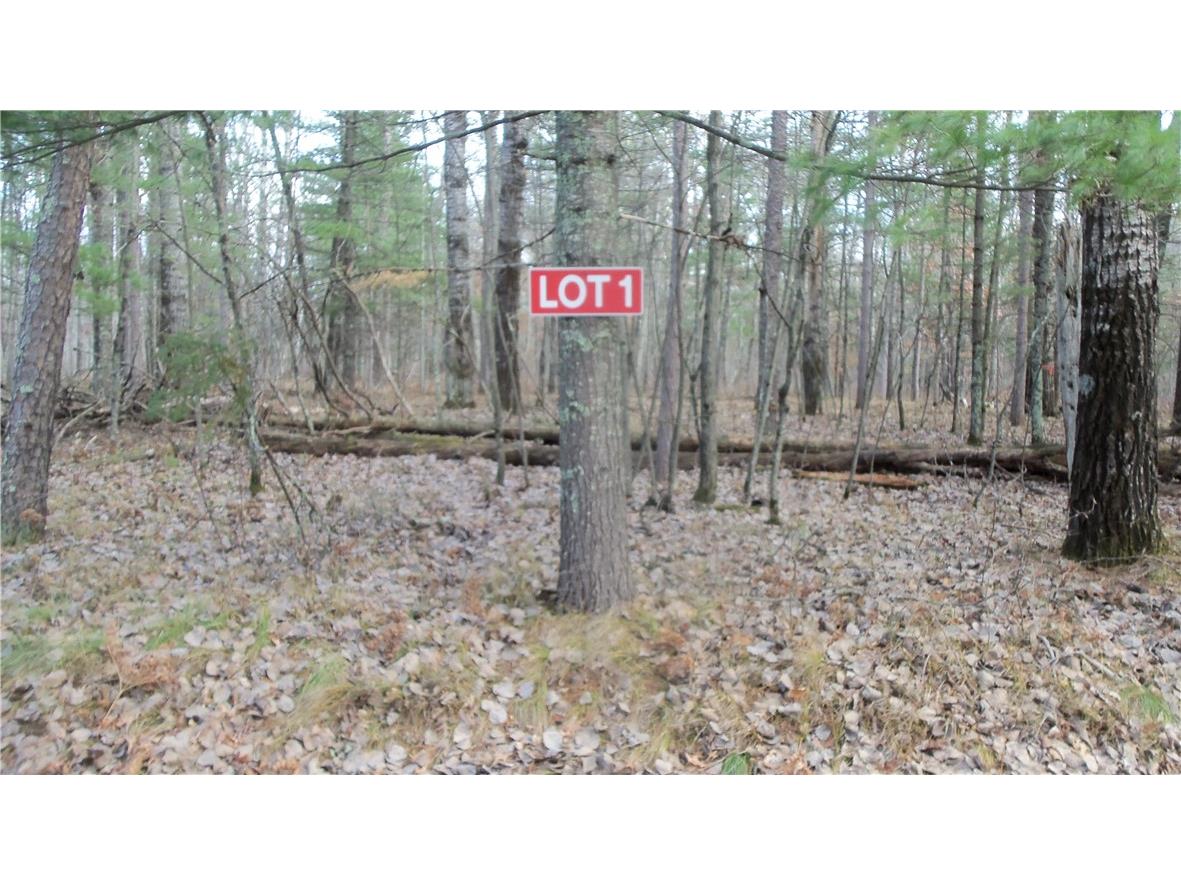 Lot 1 Gilmore Drive Minong WI 54859 1587385 image1