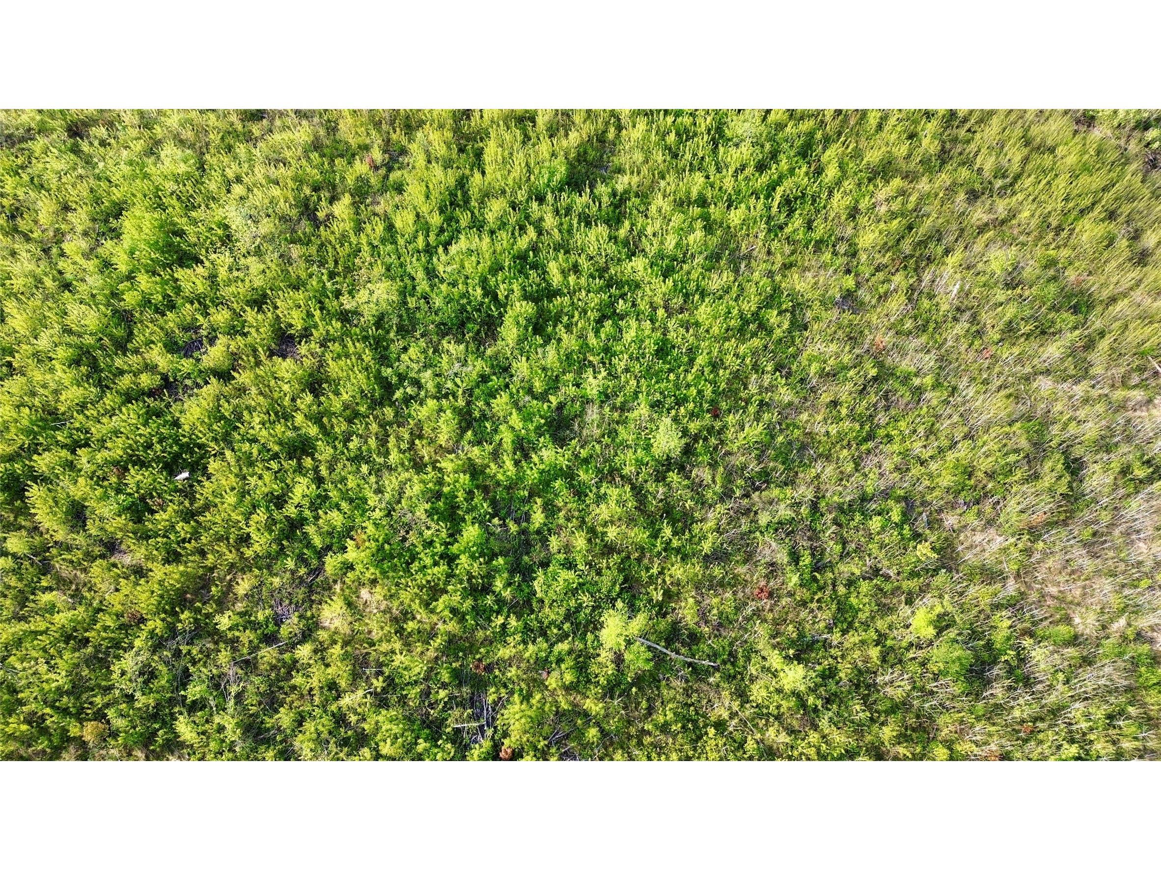 Lot 1 Girod Ladysmith WI 54848 1598596 image10