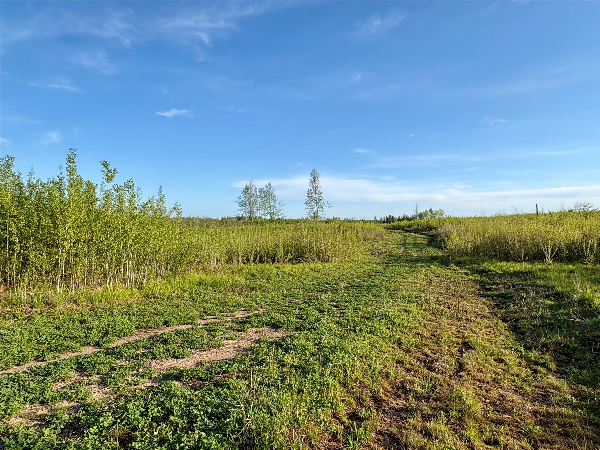 Lot 1 Girod Ladysmith WI 54848 1598596 image11
