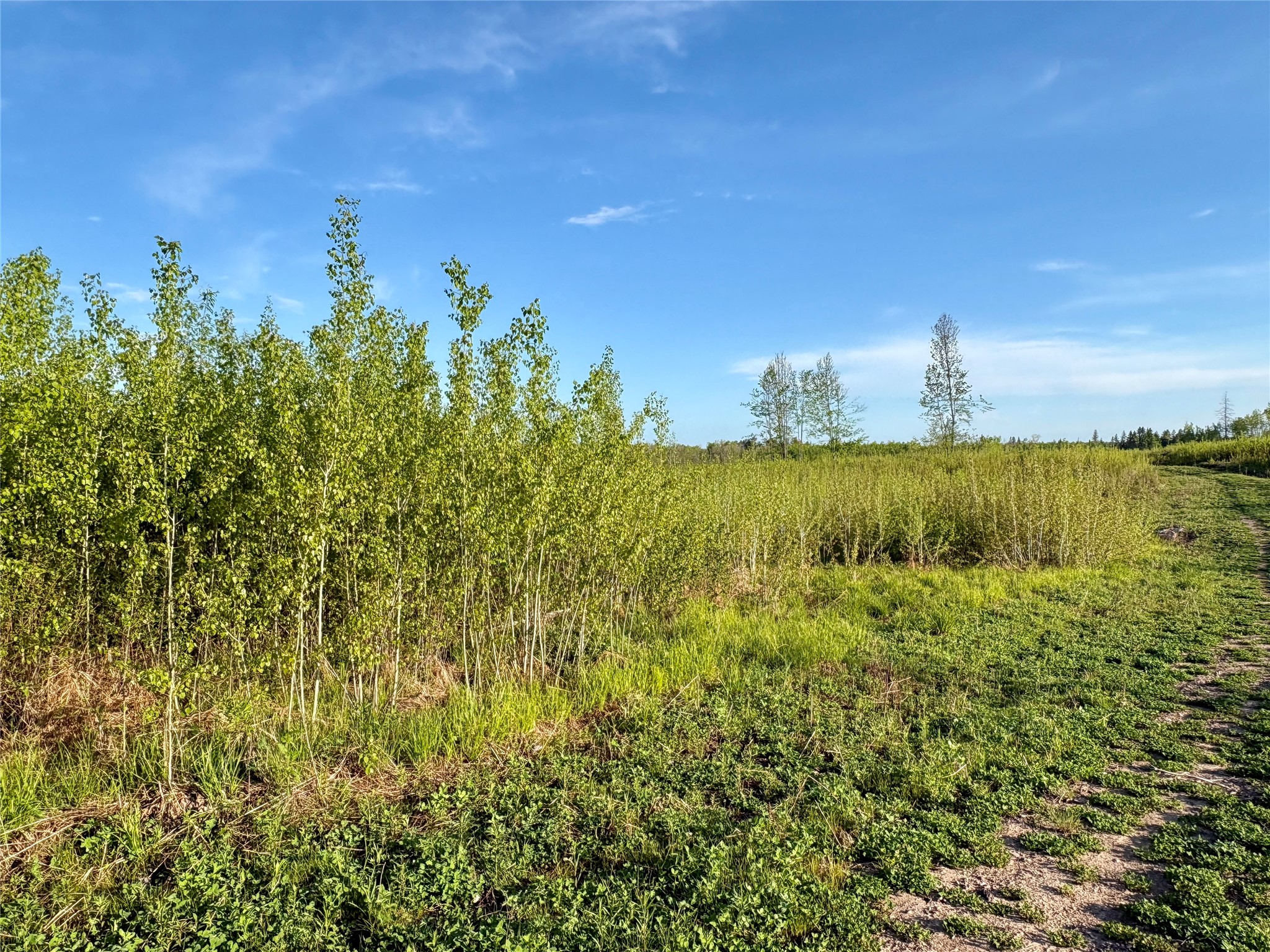 Lot 1 Girod Ladysmith WI 54848 1598596 image19