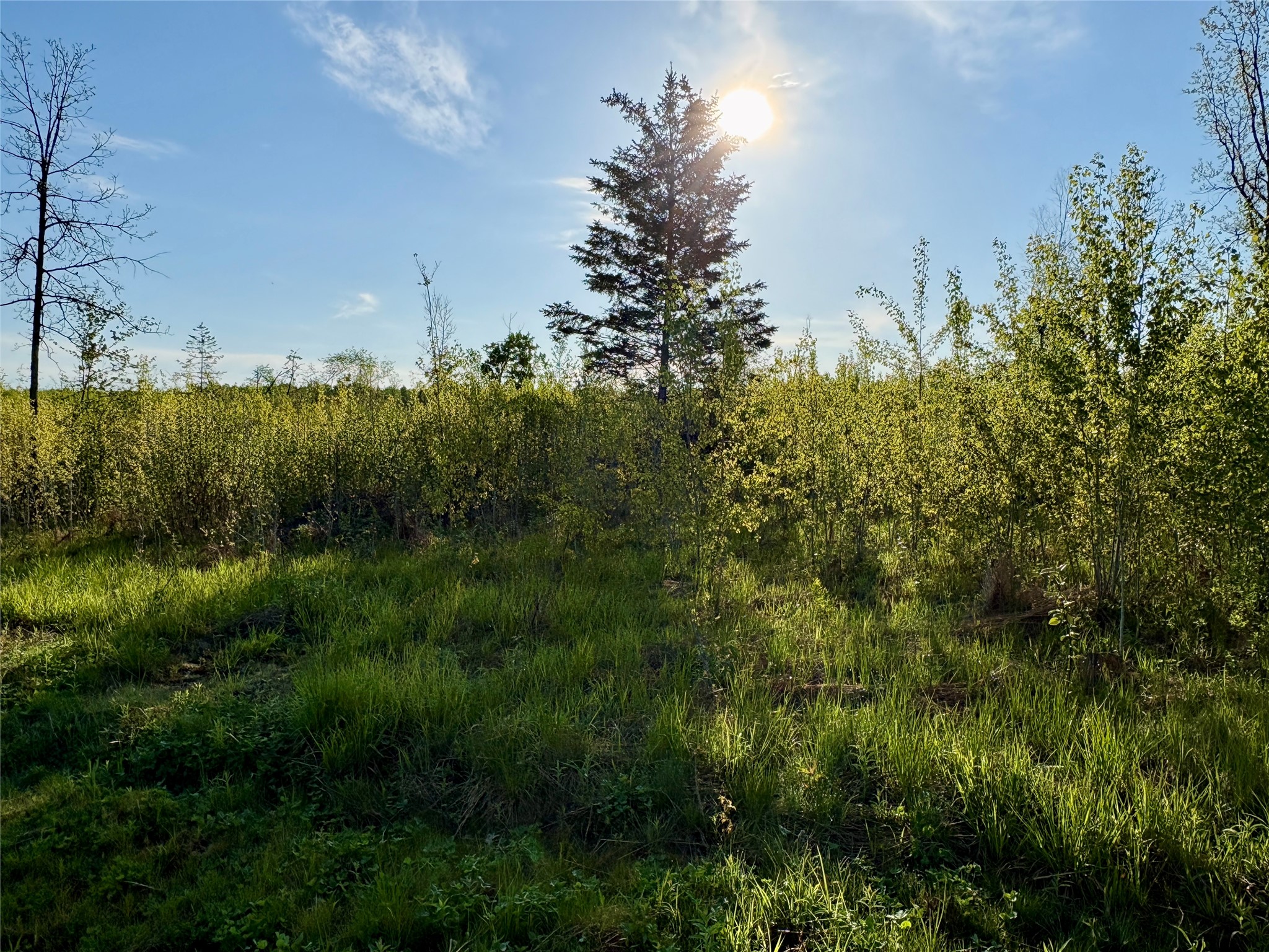 Lot 1 Girod Ladysmith WI 54848 1598596 image24