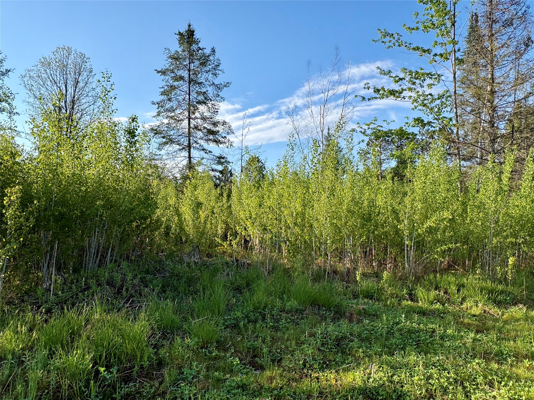 Lot 1 Girod Ladysmith WI 54848 1598596 image25