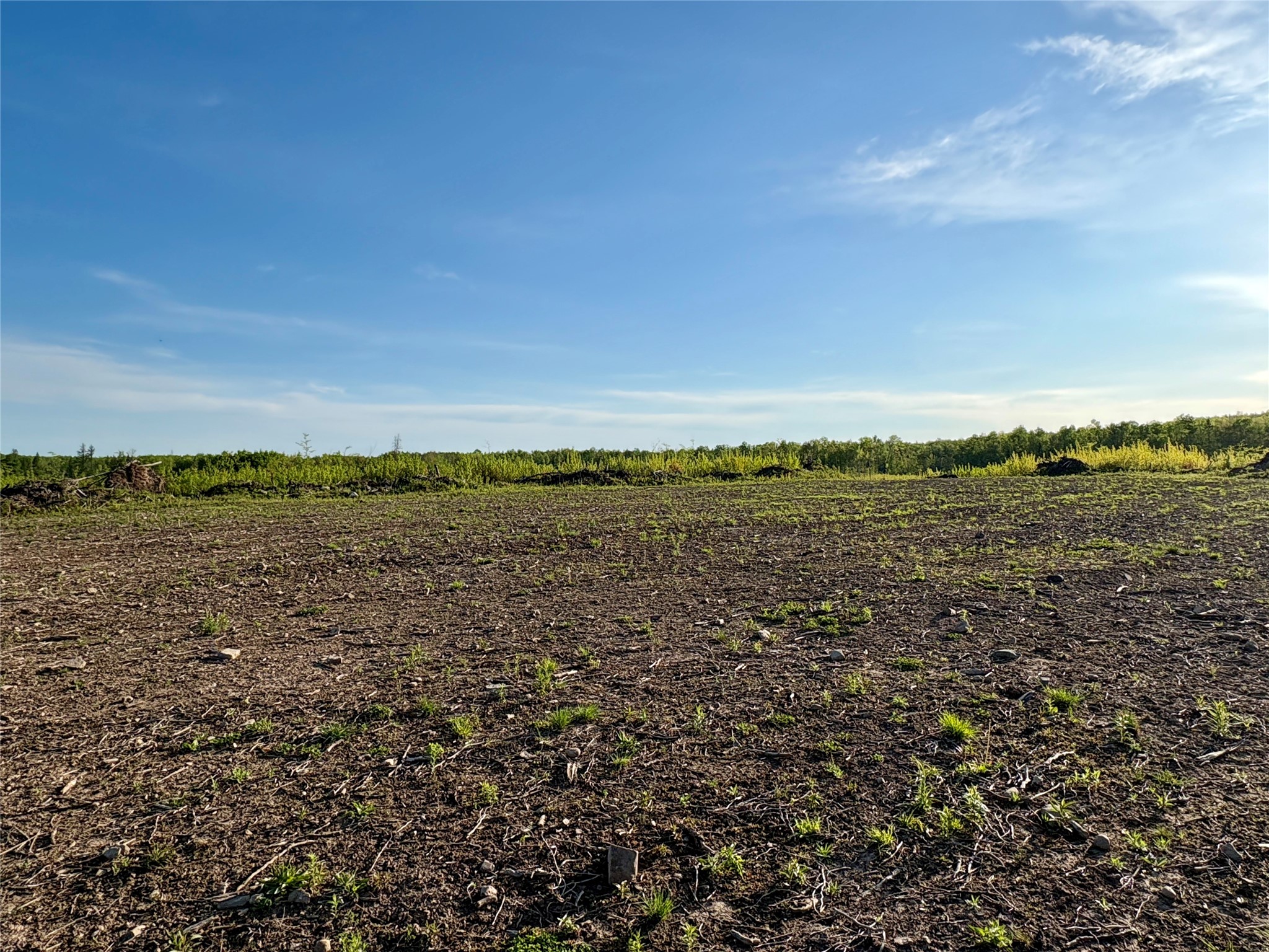 Lot 1 Girod Ladysmith WI 54848 1598596 image6