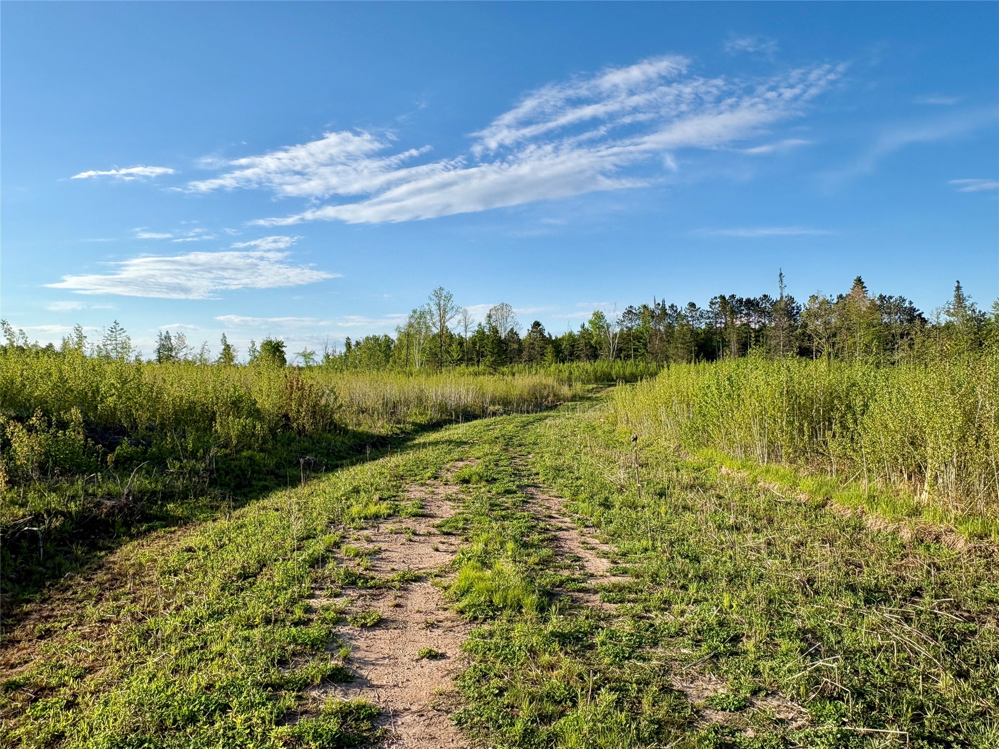 Lot 1 Girod Ladysmith WI 54848 1598596 image8