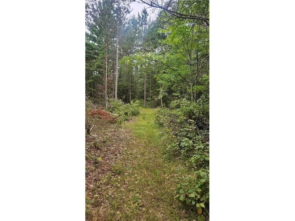 Lot 1 Hazelnut Lane Hayward WI 54843 1595517 image1