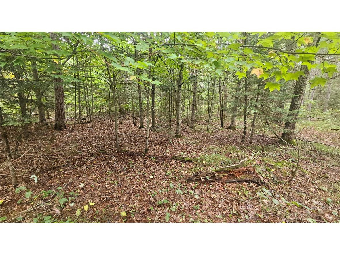Lot 1 Hazelnut Lane Hayward WI 54843 1595517 image2