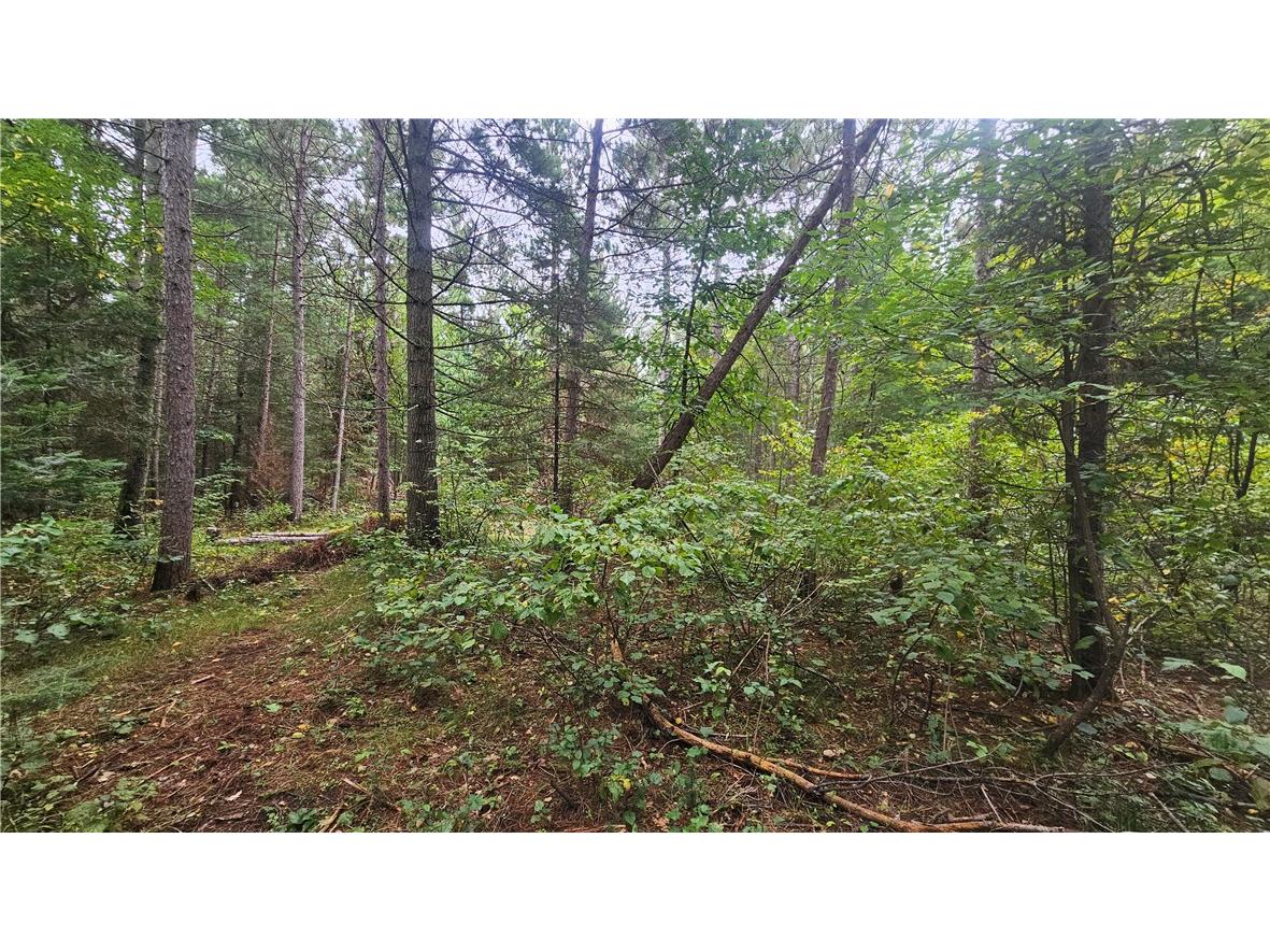 Lot 1 Hazelnut Lane Hayward WI 54843 1595517 image3