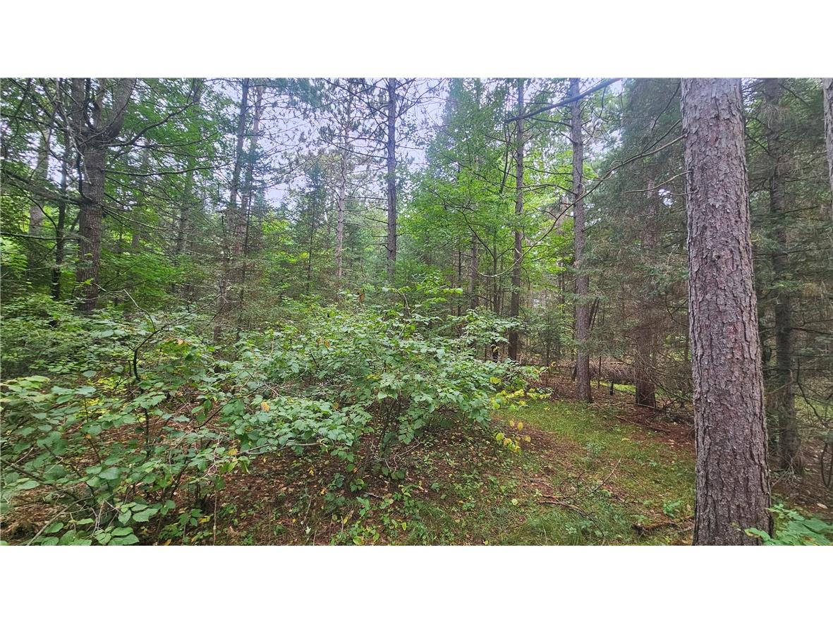 Lot 1 Hazelnut Lane Hayward WI 54843 1595517 image4