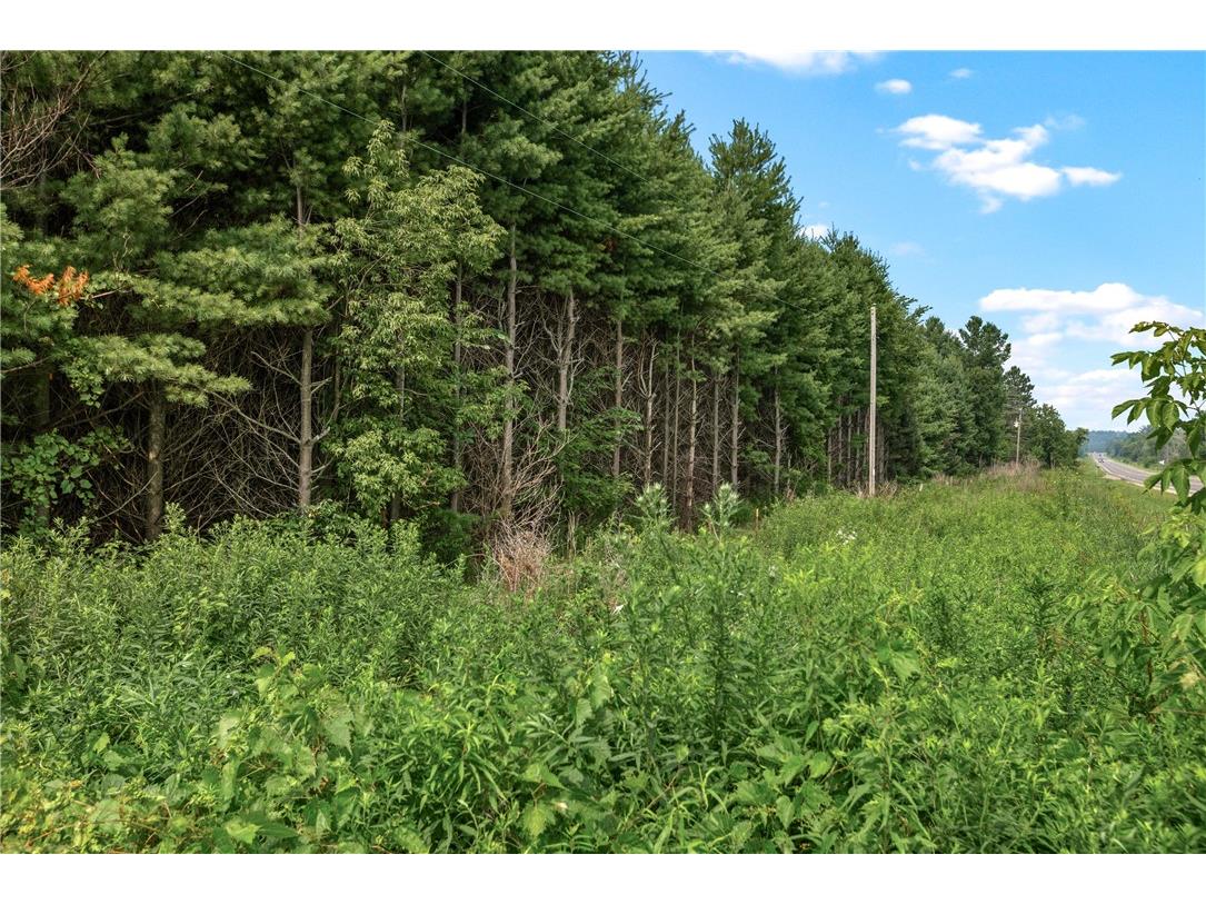 Lot 1 State Highway 12 Fall Creek WI 54742 1594043 image2