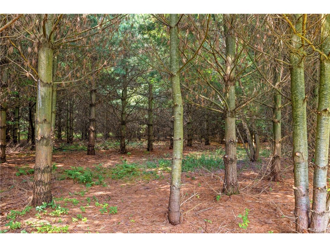 Lot 1 State Highway 12 Fall Creek WI 54742 1594043 image7