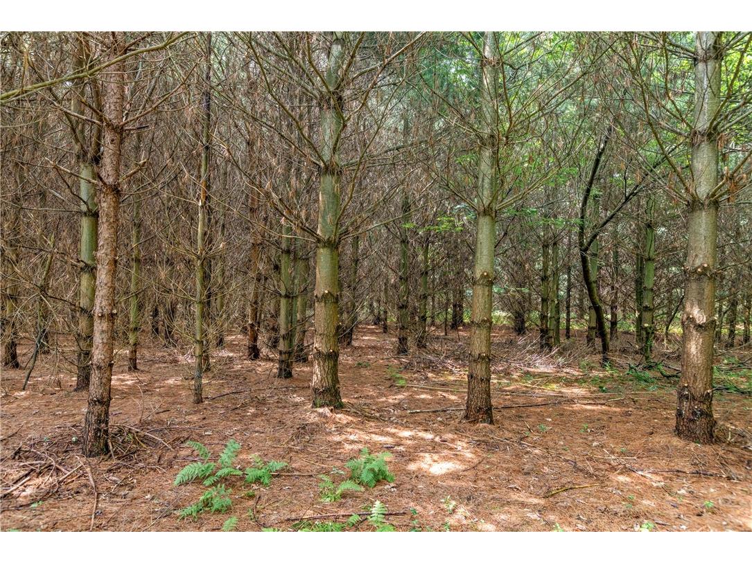 Lot 1 State Highway 12 Fall Creek WI 54742 1594043 image8