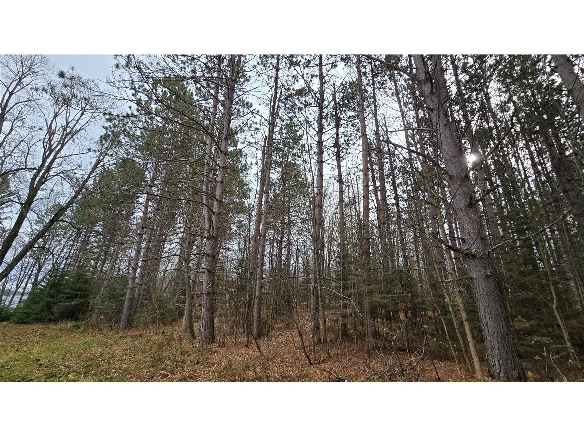 Lot 1 Linden Road Hayward WI 54843 - Round Lake 1598433 image10