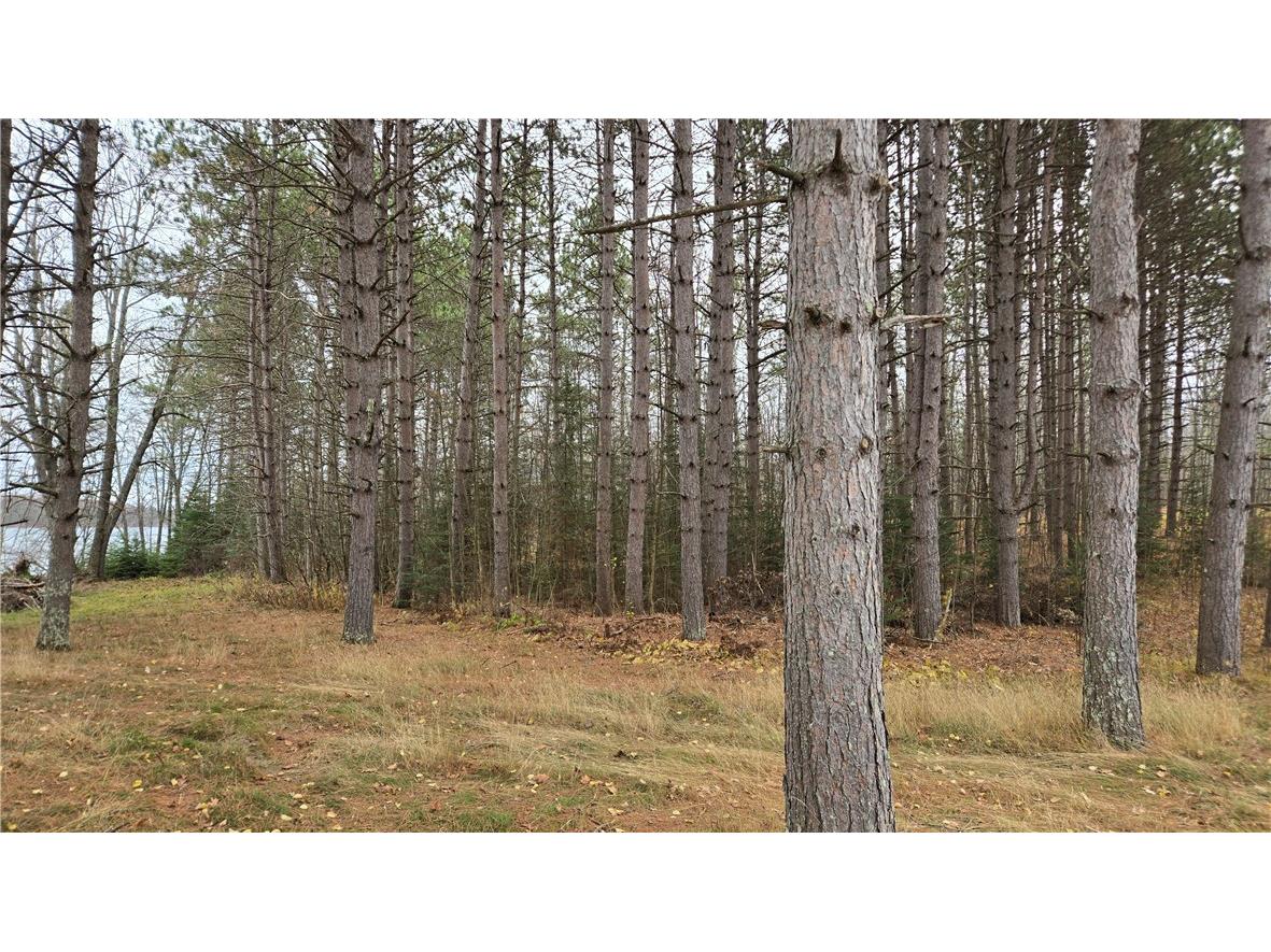 Lot 1 Linden Road Hayward WI 54843 - Round Lake 1598433 image12