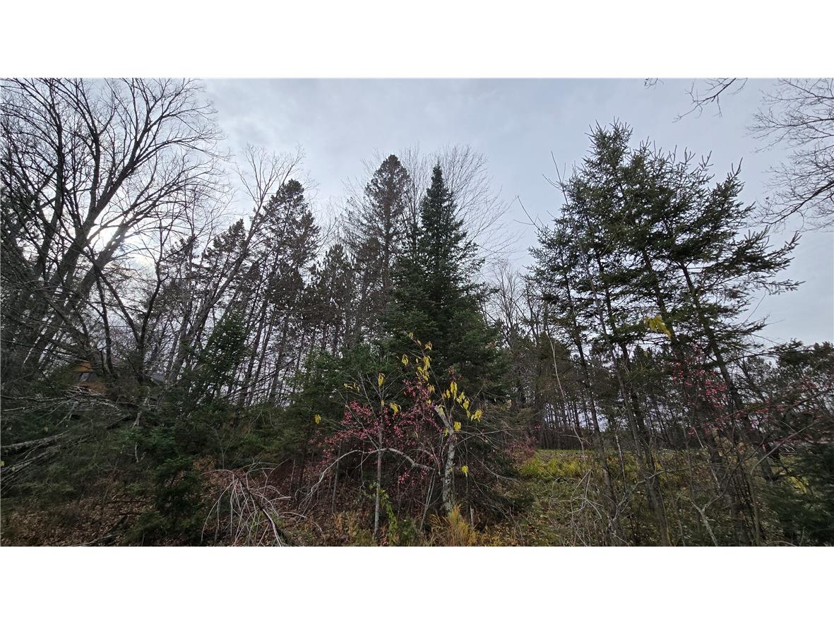 Lot 1 Linden Road Hayward WI 54843 - Round Lake 1598433 image8