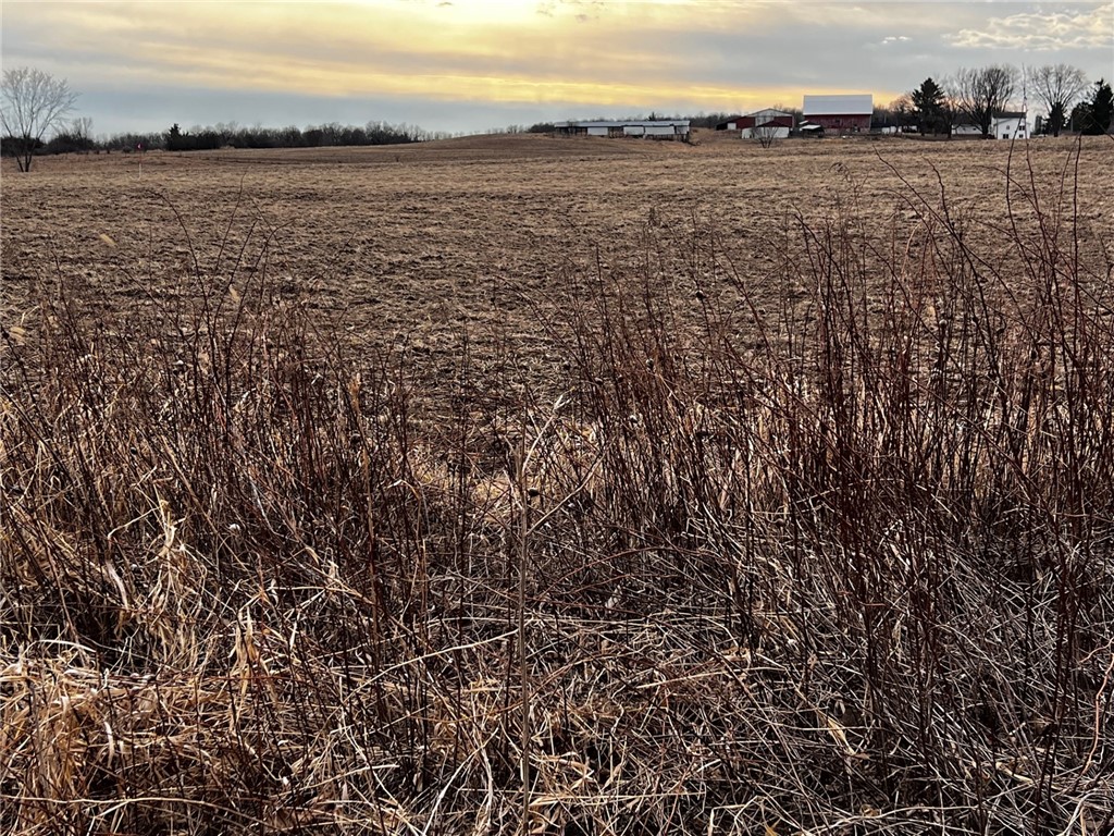 Lot 1 Main Street Cadott WI 54727 1589809 image4