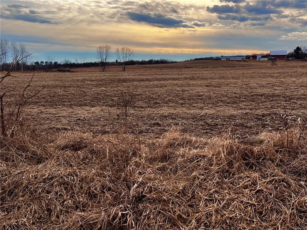Lot 1 Main Street Cadott WI 54727 1589809 image5