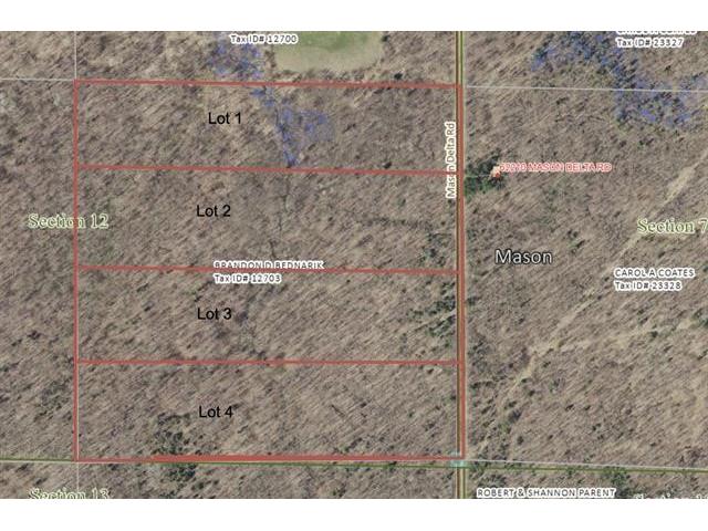 Lot 1 Mason Delta Rd Delta WI 54856 1596579 image1