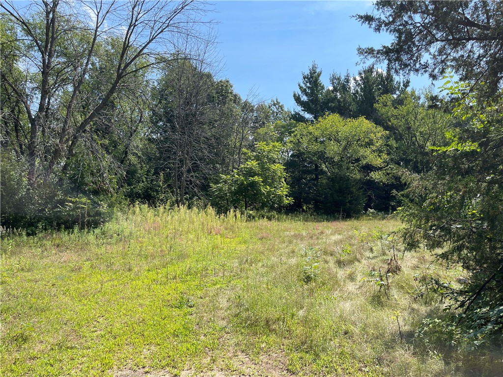 Lot #1 Mathews Drive Eau Claire WI 54703 1584907 image4