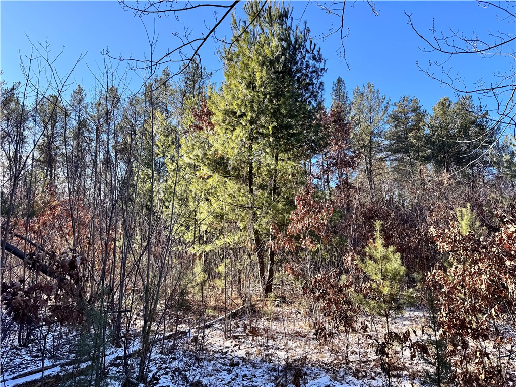 Lot 1 Olsen Drive Fall Creek WI 54742 1588025 image1