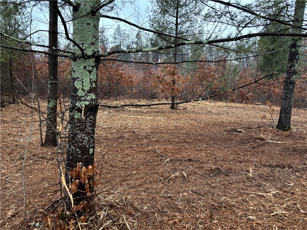 Lot 1 Olson Drive Fall Creek WI 54742 1588857 image1