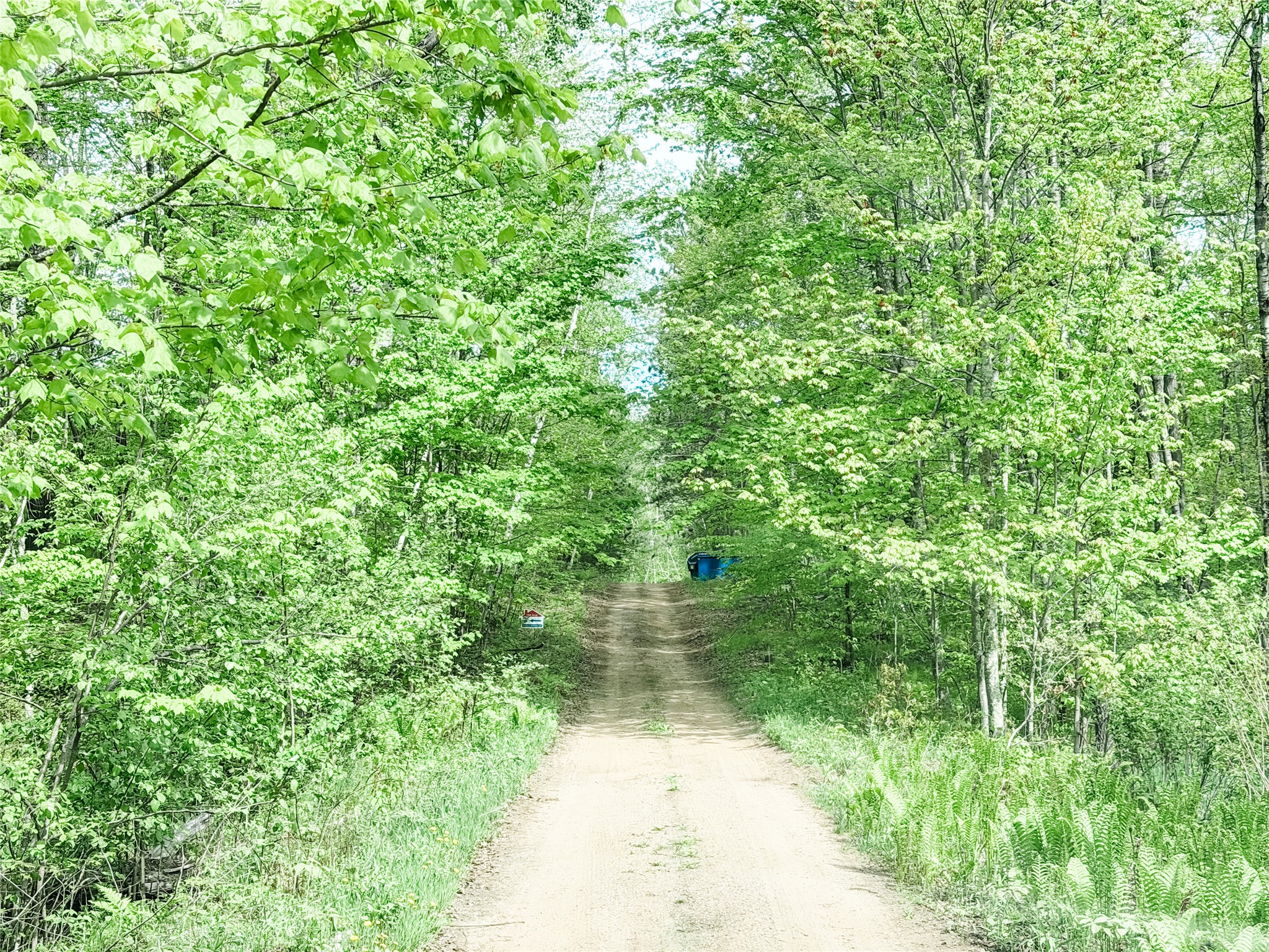 Lot 1 Peterson Road Wascott WI 54859 1601135 image4
