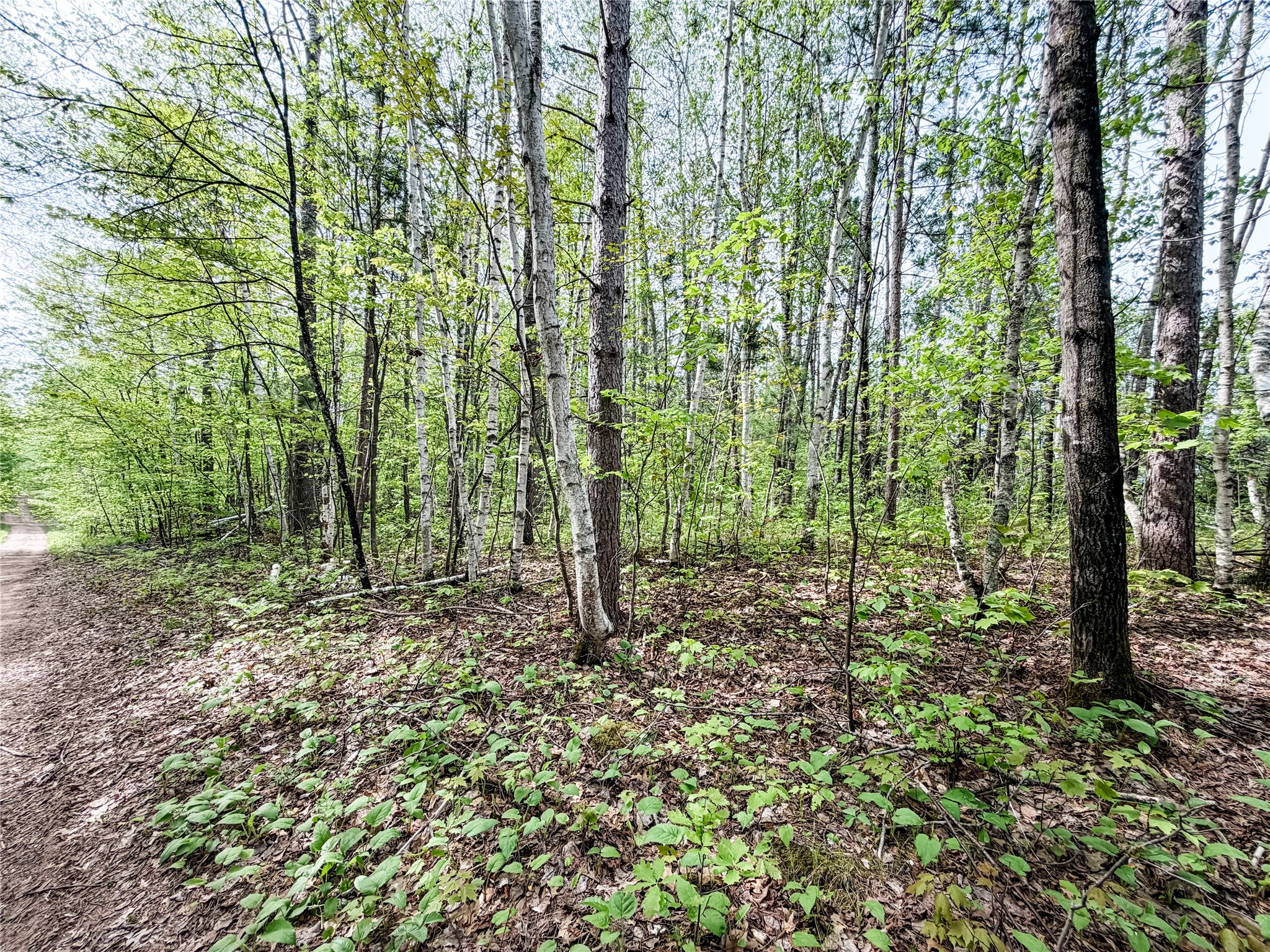 Lot 1 Peterson Road Wascott WI 54859 1601135 image8