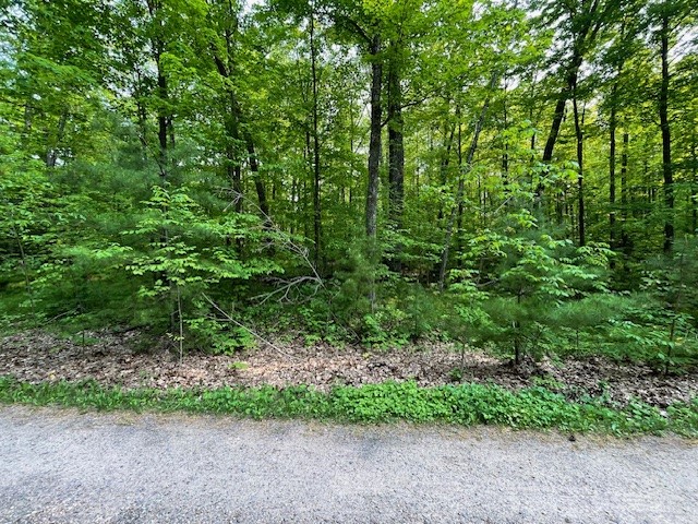 Lot 1 Plover Lane Hayward WI 54843 1592305 image1