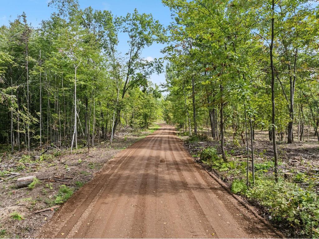 Lot 1 Ramer Road Bruce WI 54819 - Caley 1595257 image1
