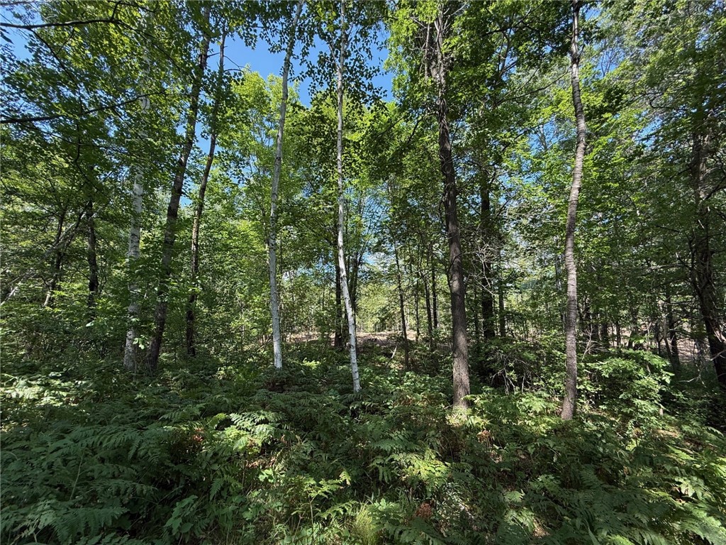 Lot 1 Ramer Road Bruce WI 54819 - Caley 1595257 image13