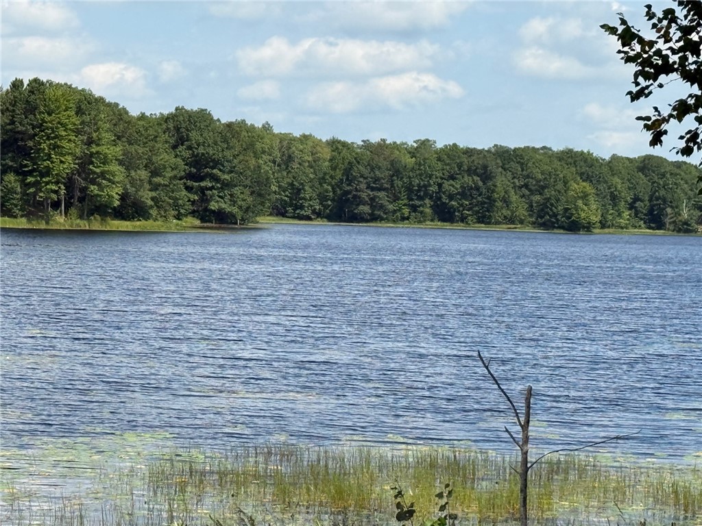 Lot 1 Ramer Road Bruce WI 54819 - Caley 1595257 image15